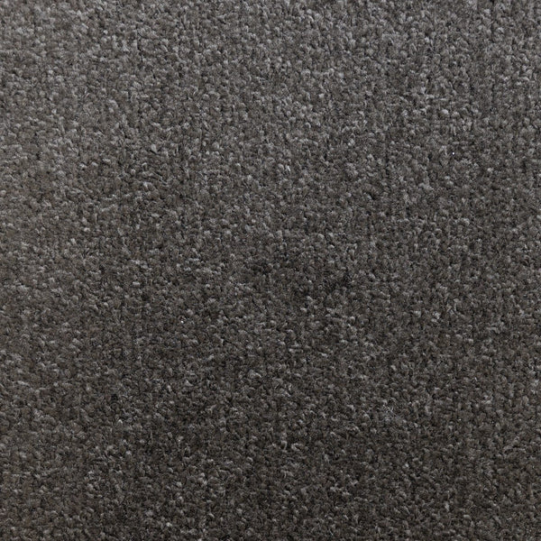 Prime Anthracite Carpet