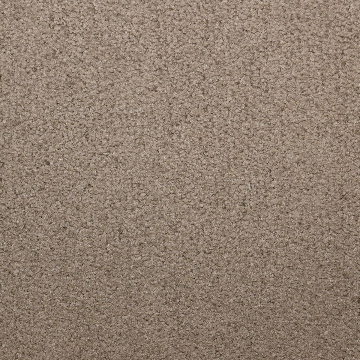 Prime Chocolate Carpet