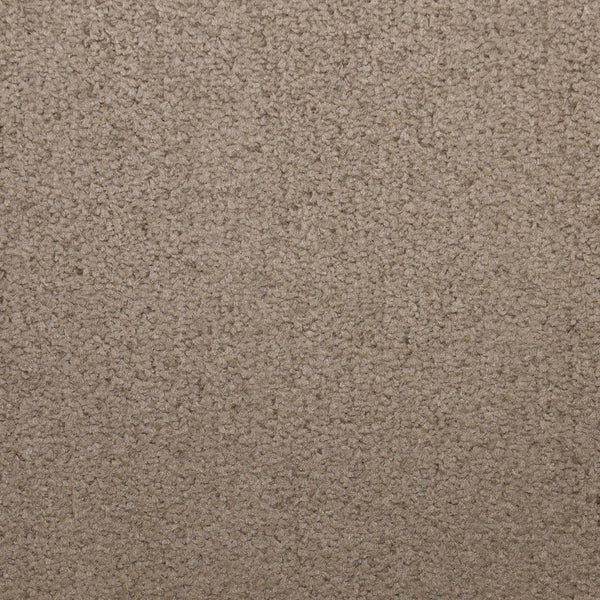 Prime Chocolate Carpet