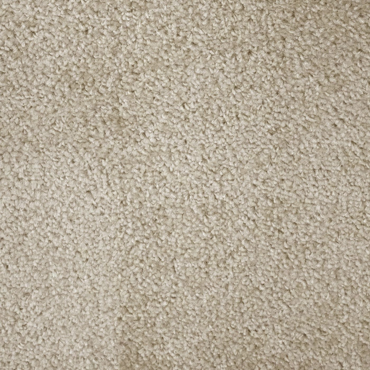 Prime Crème Carpet
