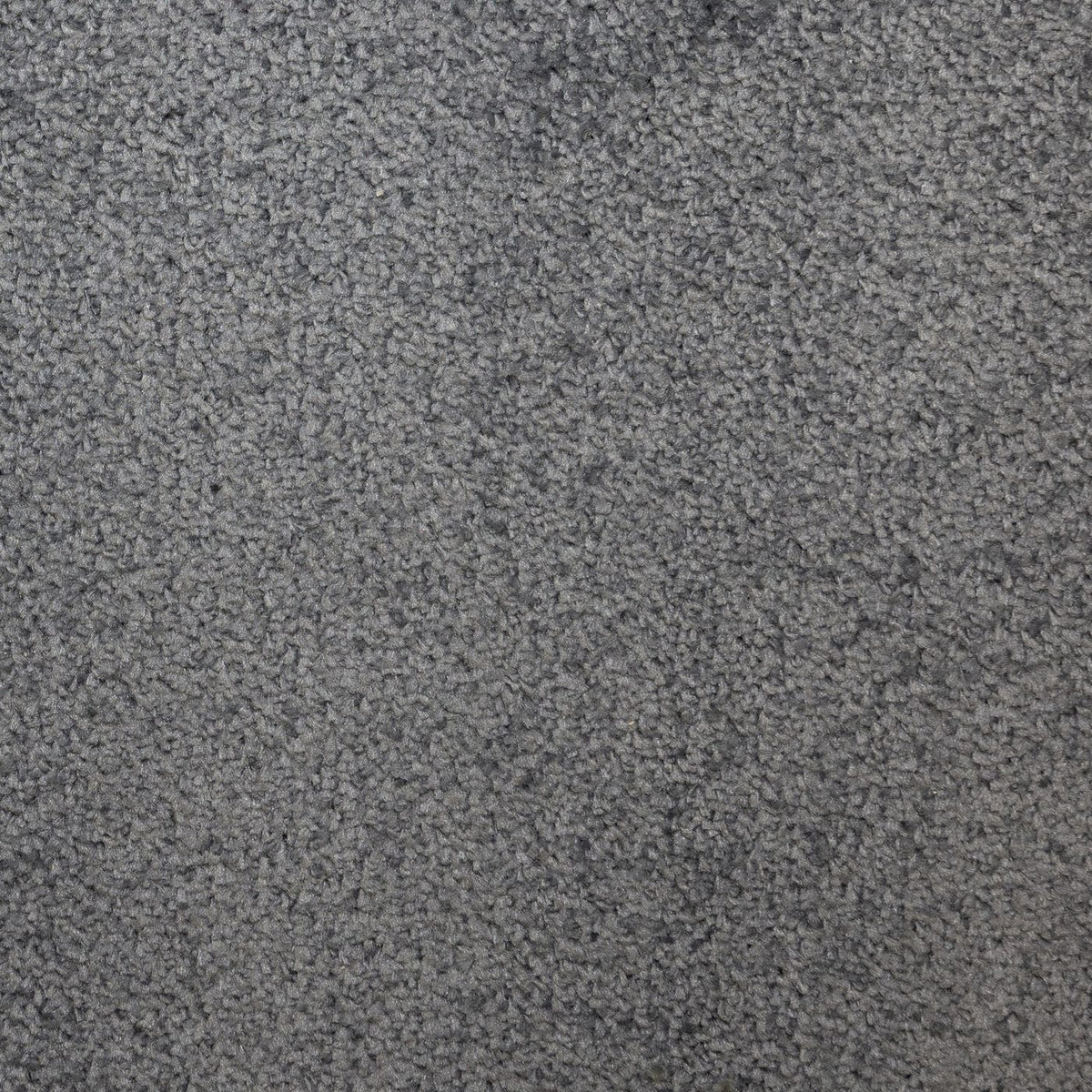 Prime Denim Carpet