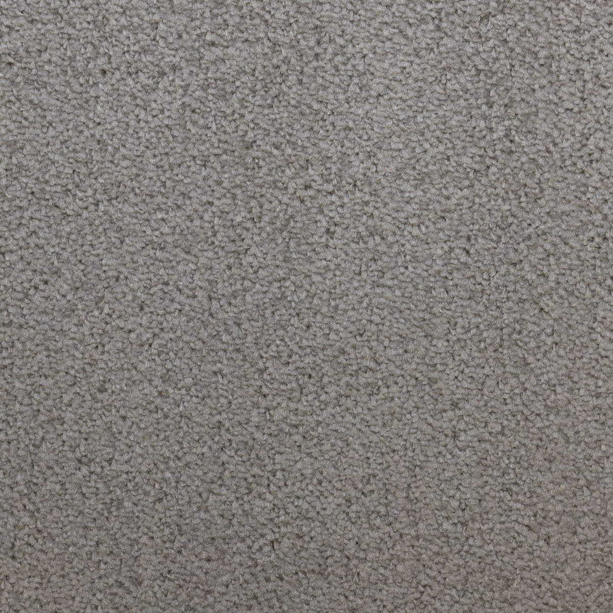 Prime Fern Carpet