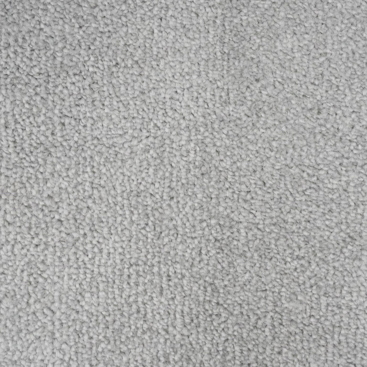Prime Silver Carpet
