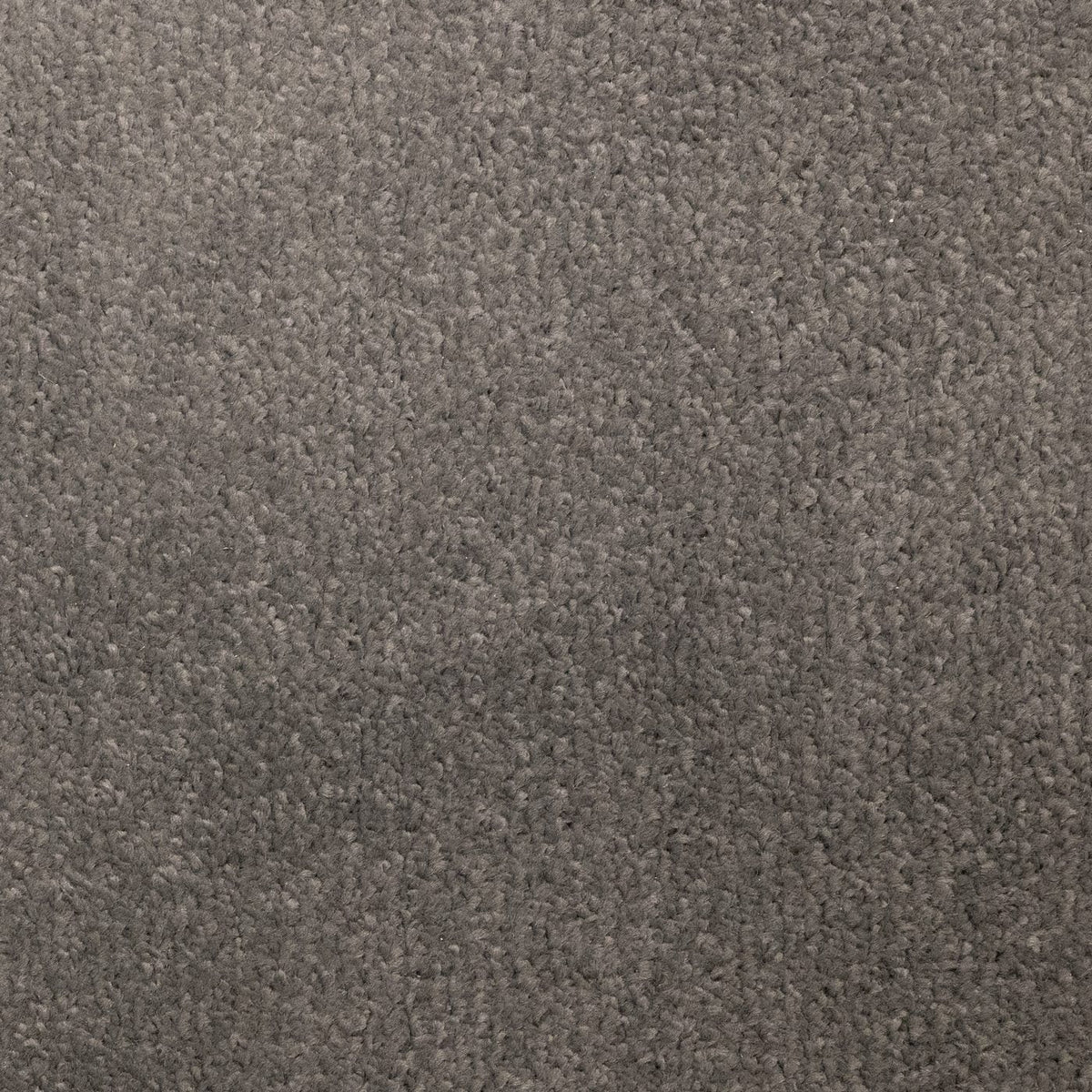 Prime Smoke Carpet