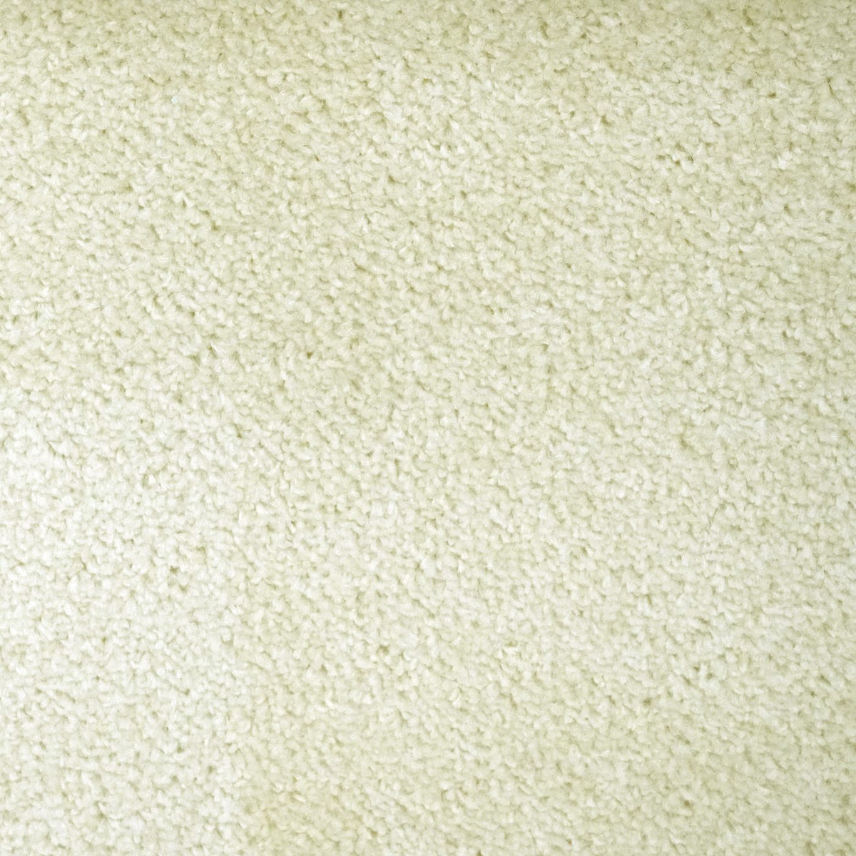 Prime Vanilla Carpet
