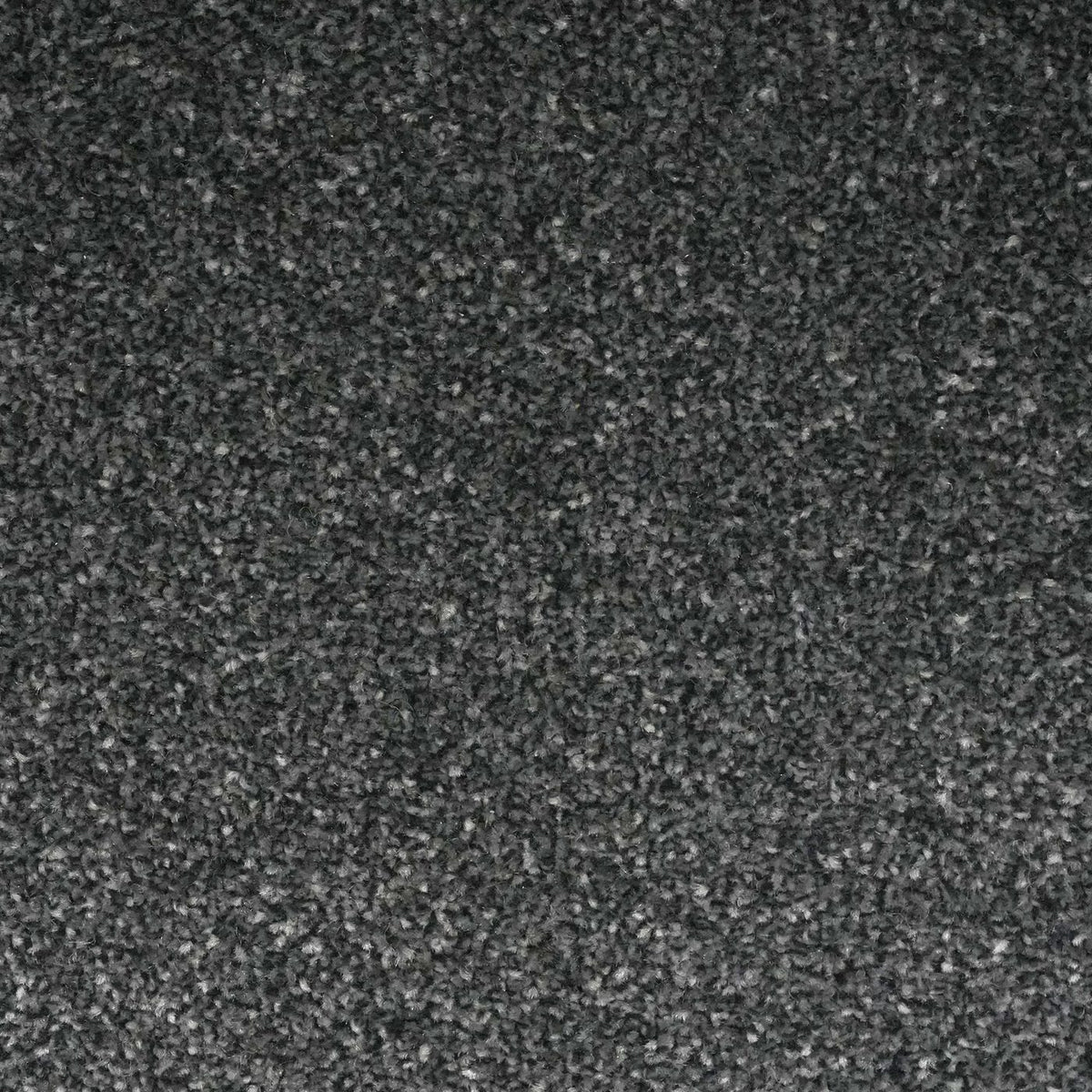 Veneto Elite Gunmetal Grey Carpet