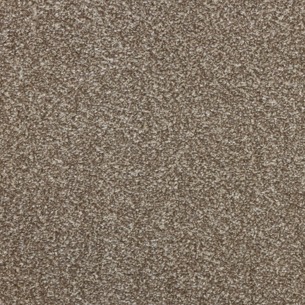 Veneto Elite Latte Carpet