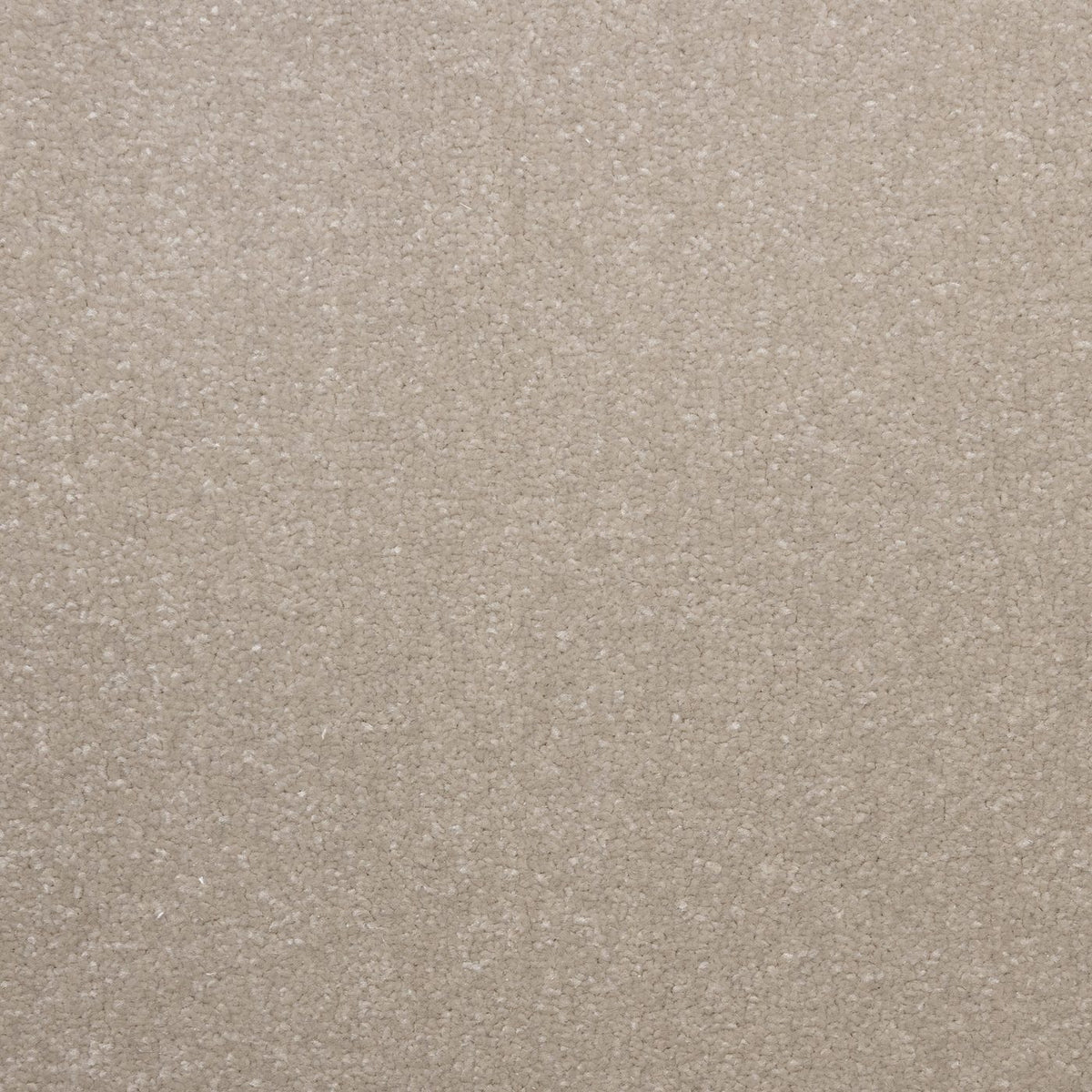 Veneto Elite Sea Shell Carpet