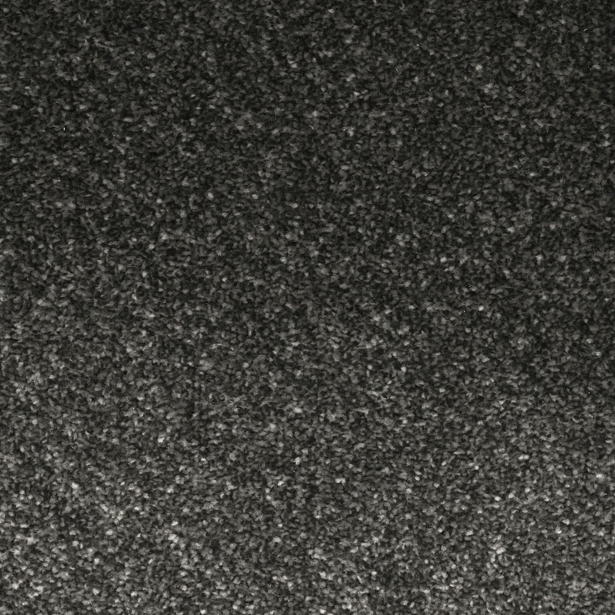 Veneto Elite Star Grey Carpet