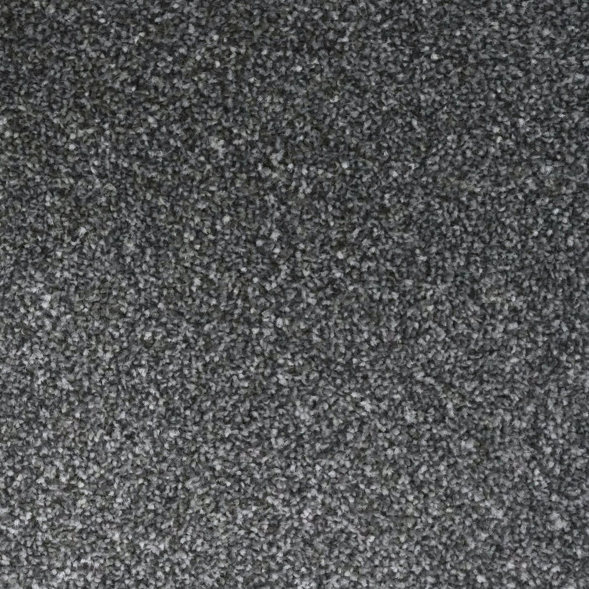 Veneto Elite Steel Grey Carpet