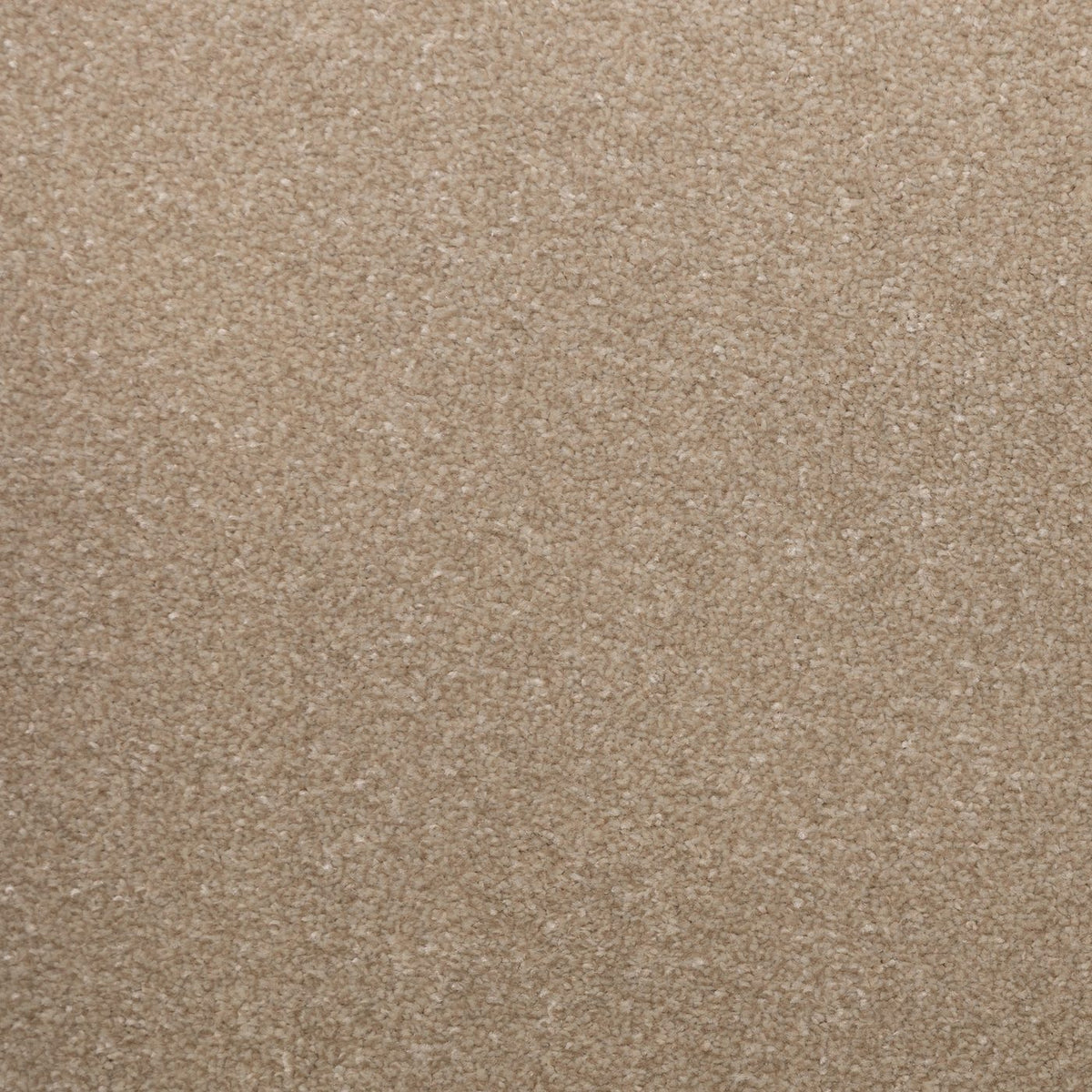 Veneto Elite White Dove Carpet
