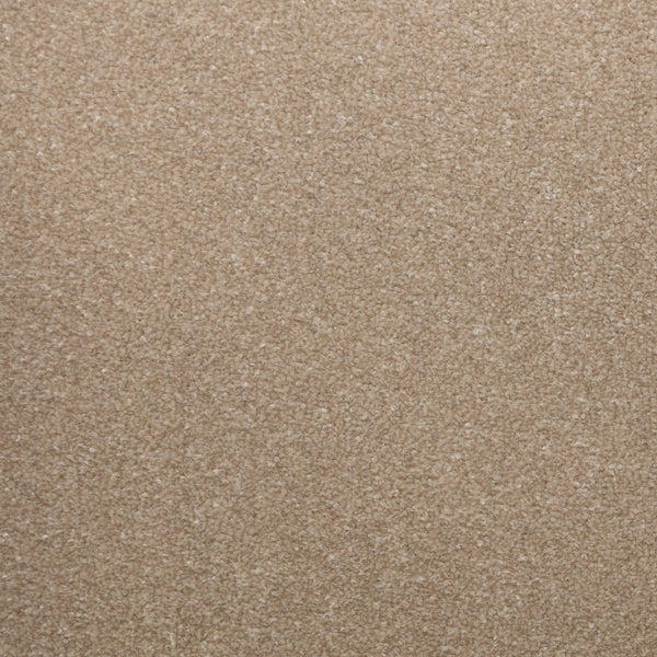 Veneto Elite White Dove Carpet
