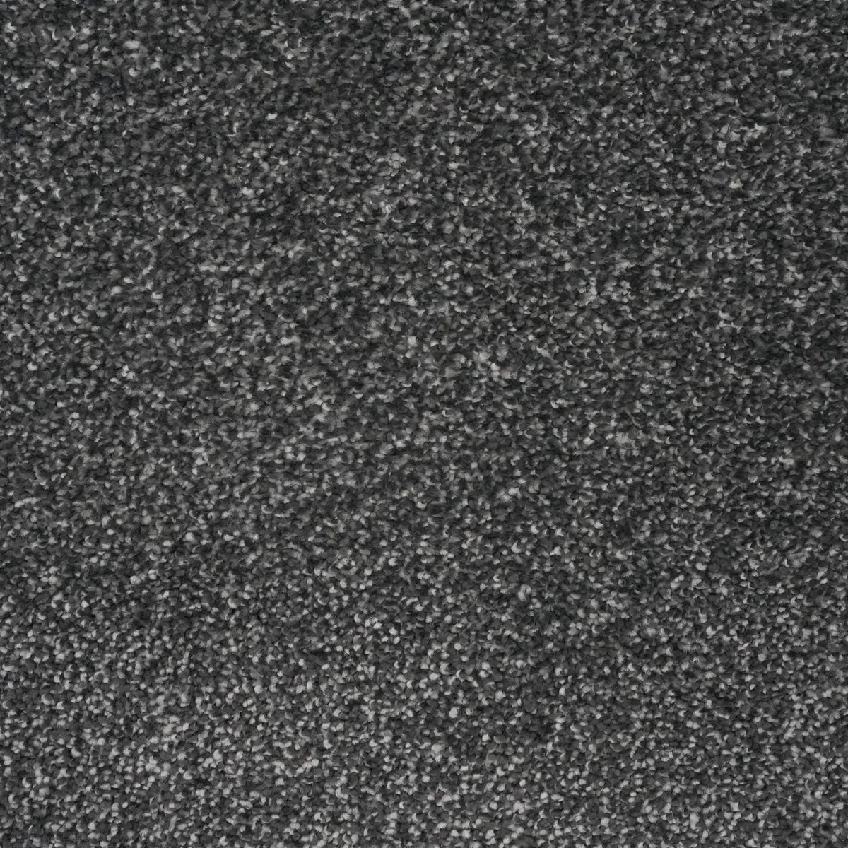 Verona Bedrock Grey Carpet