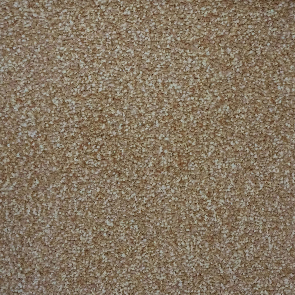 Verona Biscuit Carpet