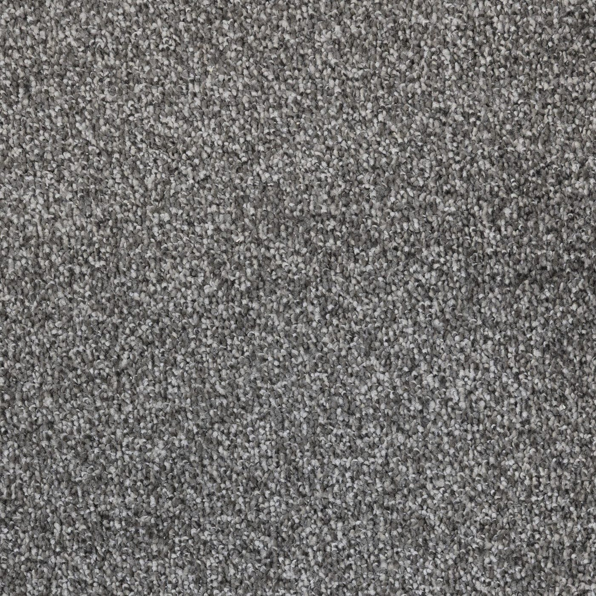 Verona Cool Grey Carpet