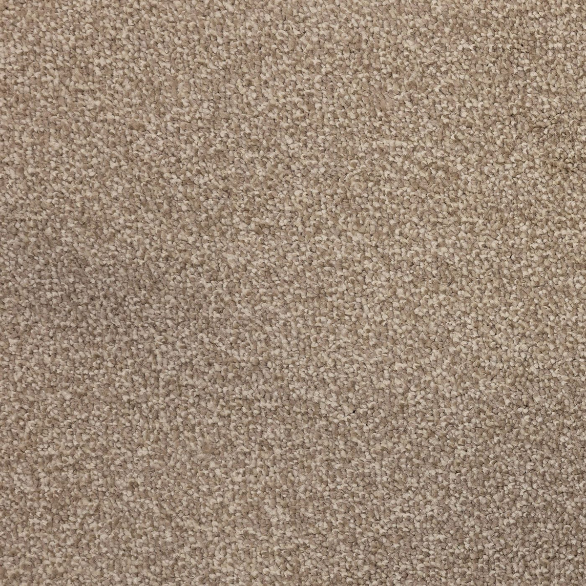 Verona Ecru Carpet