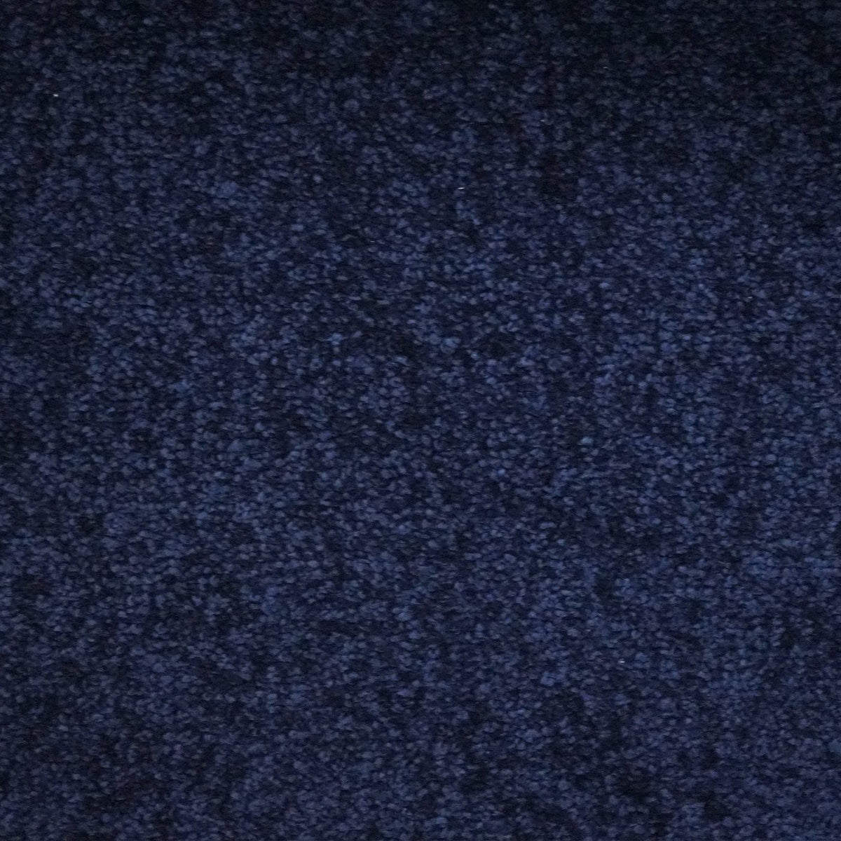 Verona Midnight Blue Carpet