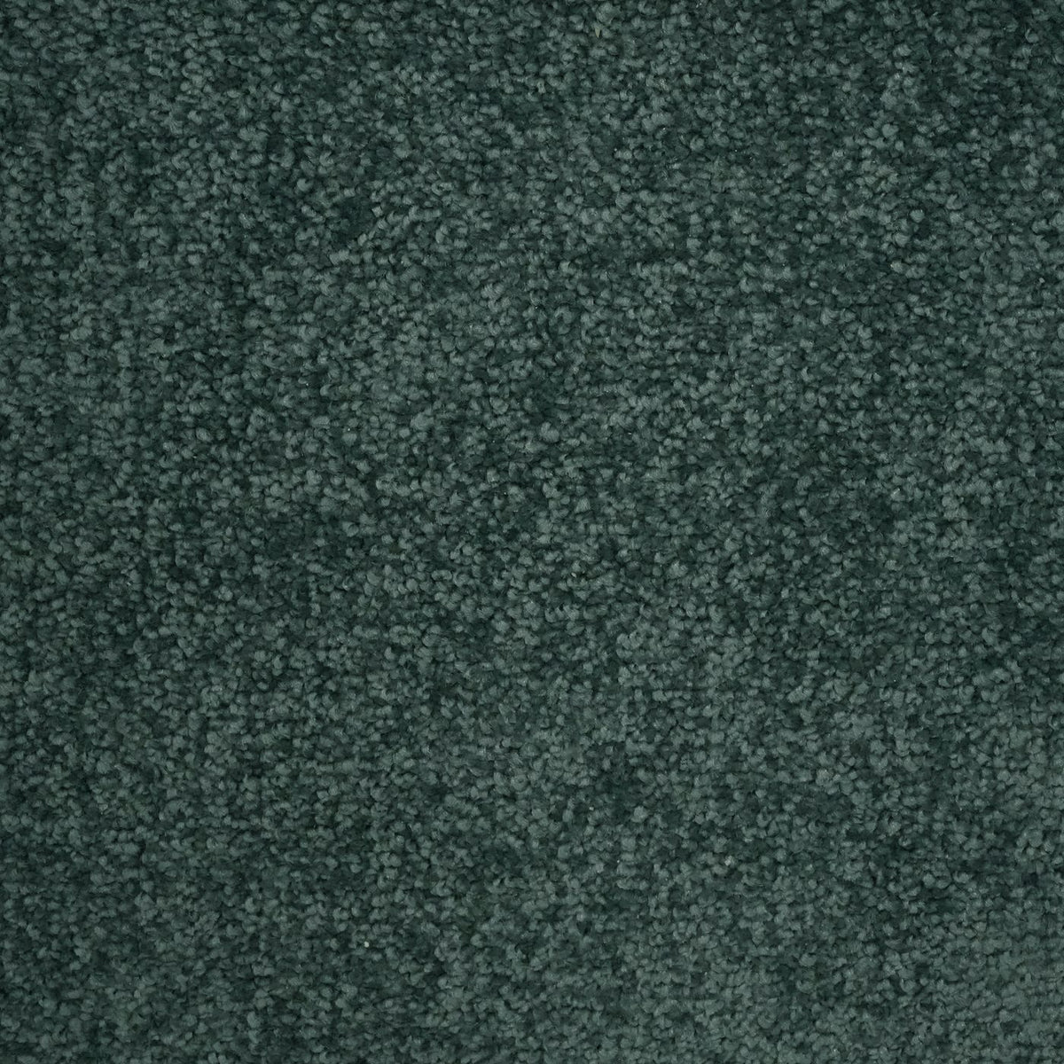 Verona Teal Carpet