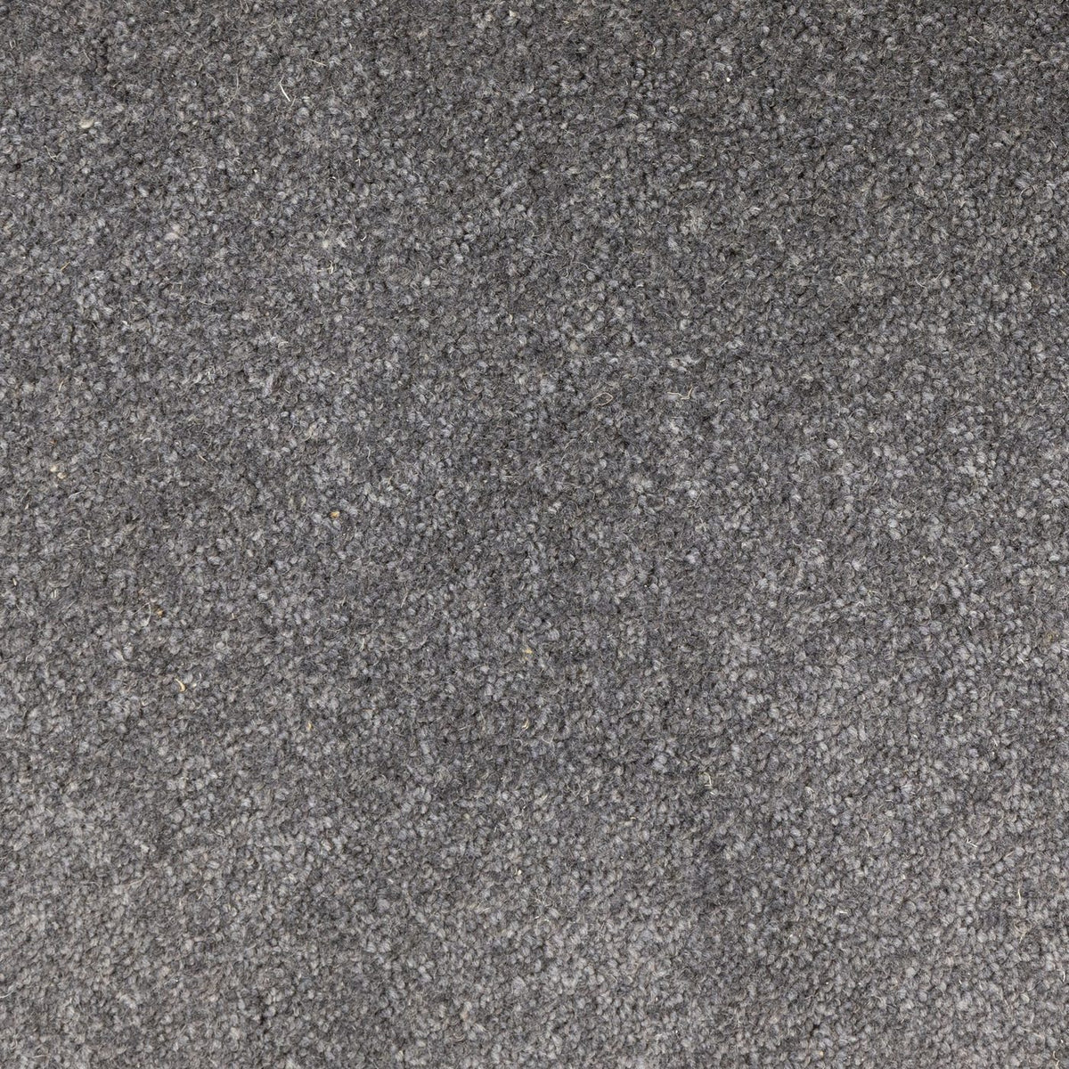 Windsor 40oz Charcoal Carpet