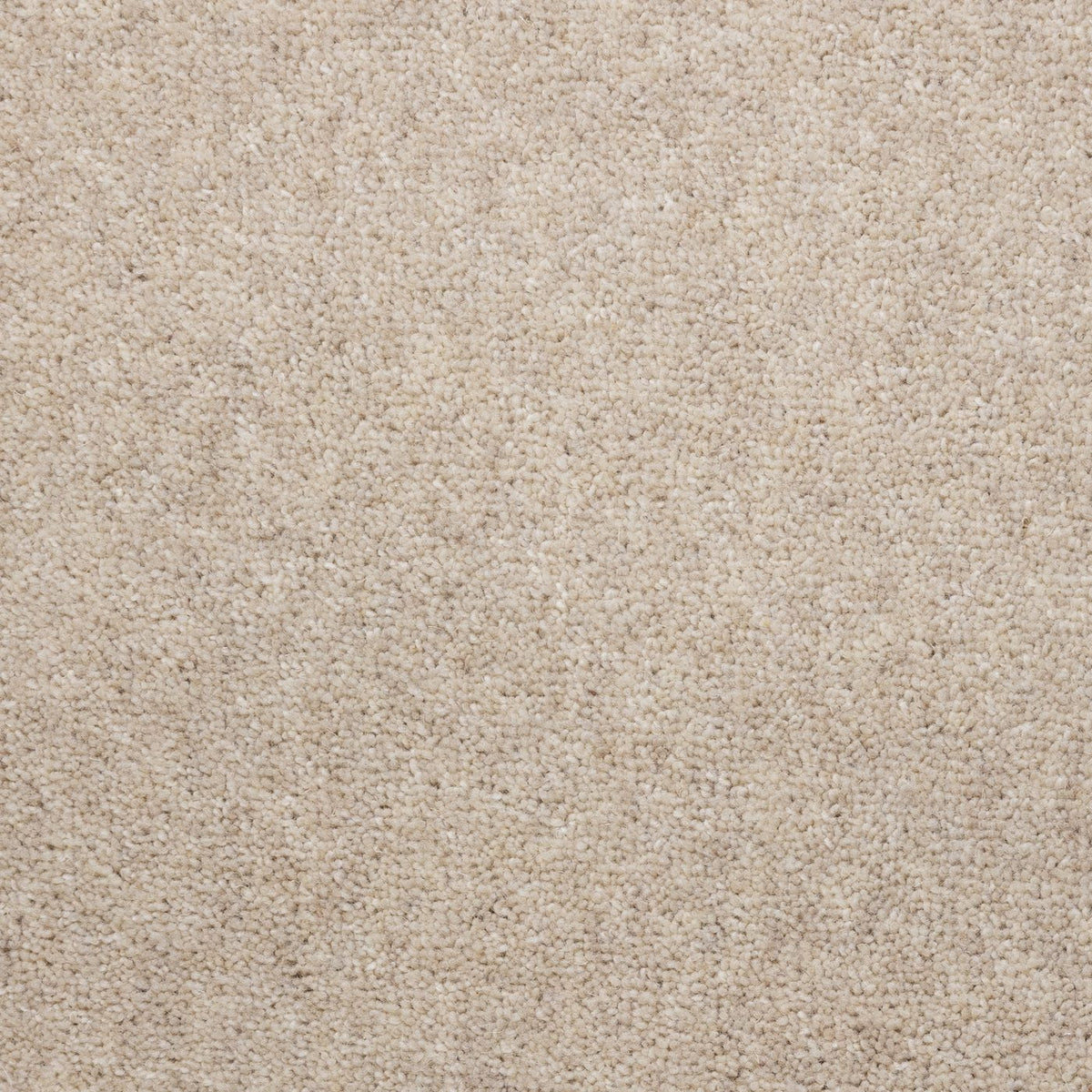Windsor 40oz Cotton Carpet