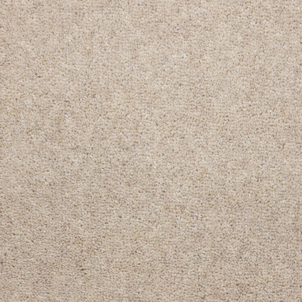 Windsor 40oz Cotton Carpet