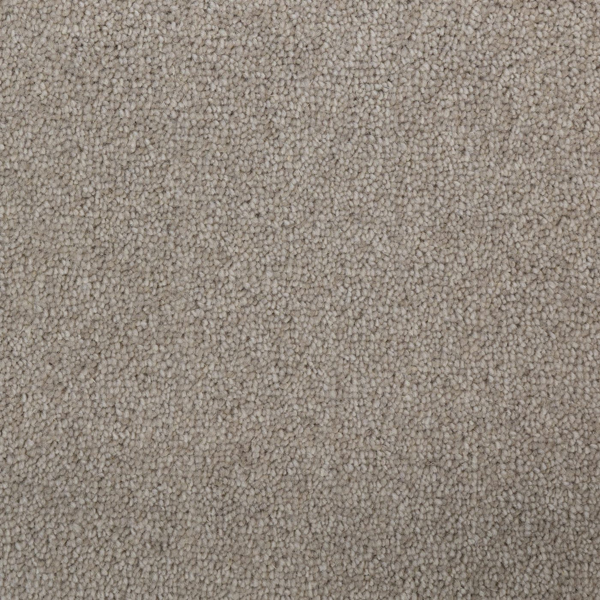 Windsor 40oz Fawn Carpet