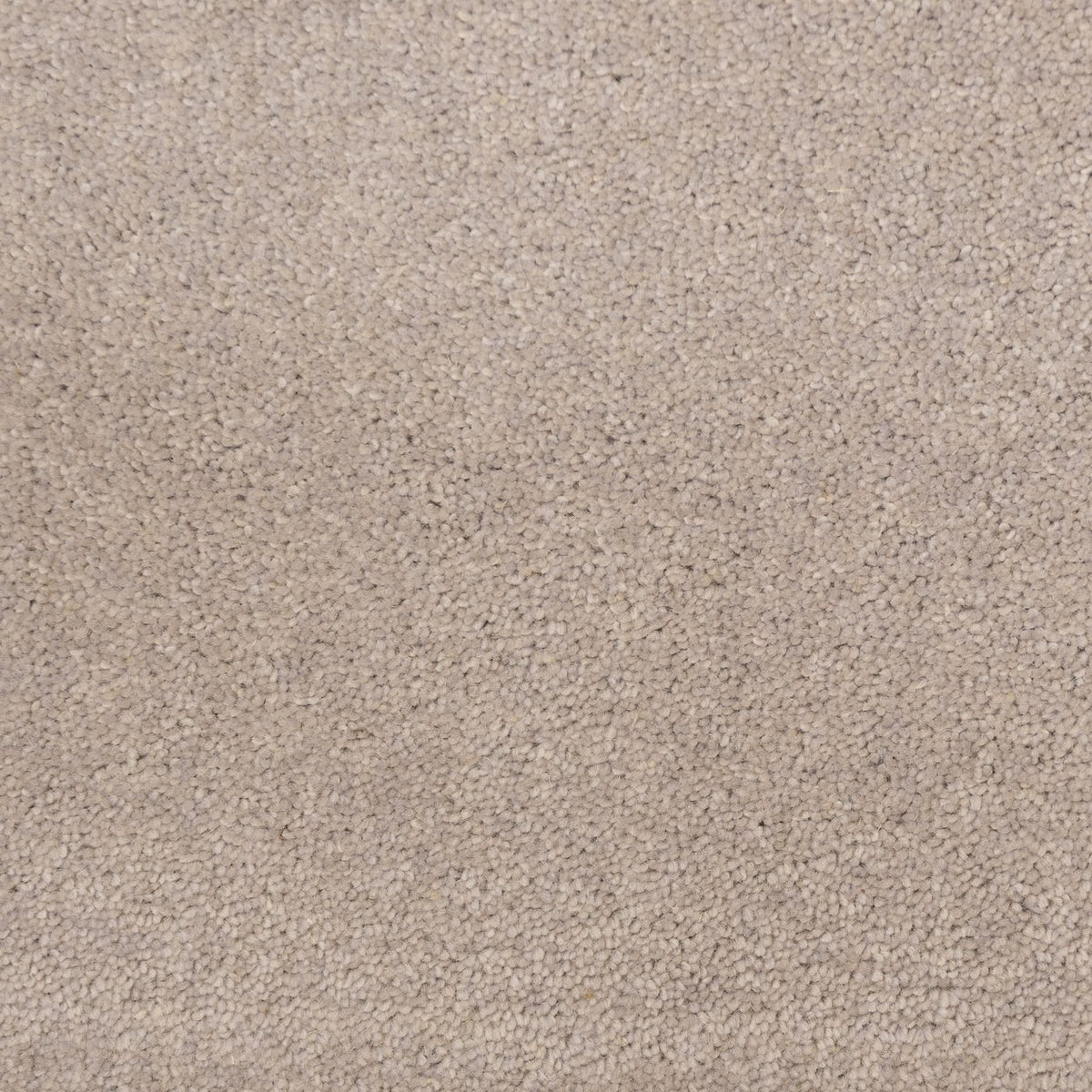 Windsor 40oz Light Grey Carpet