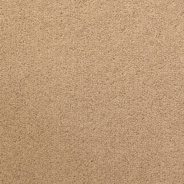 Windsor 40oz Sand Carpet