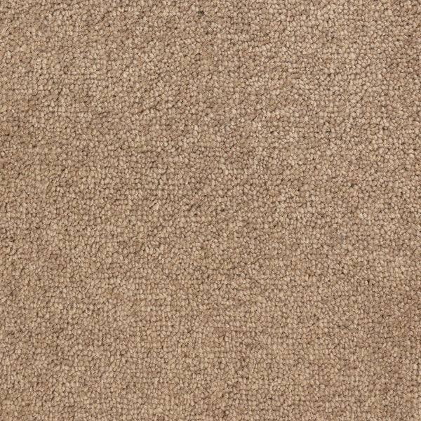 Windsor 60oz Beige Carpet
