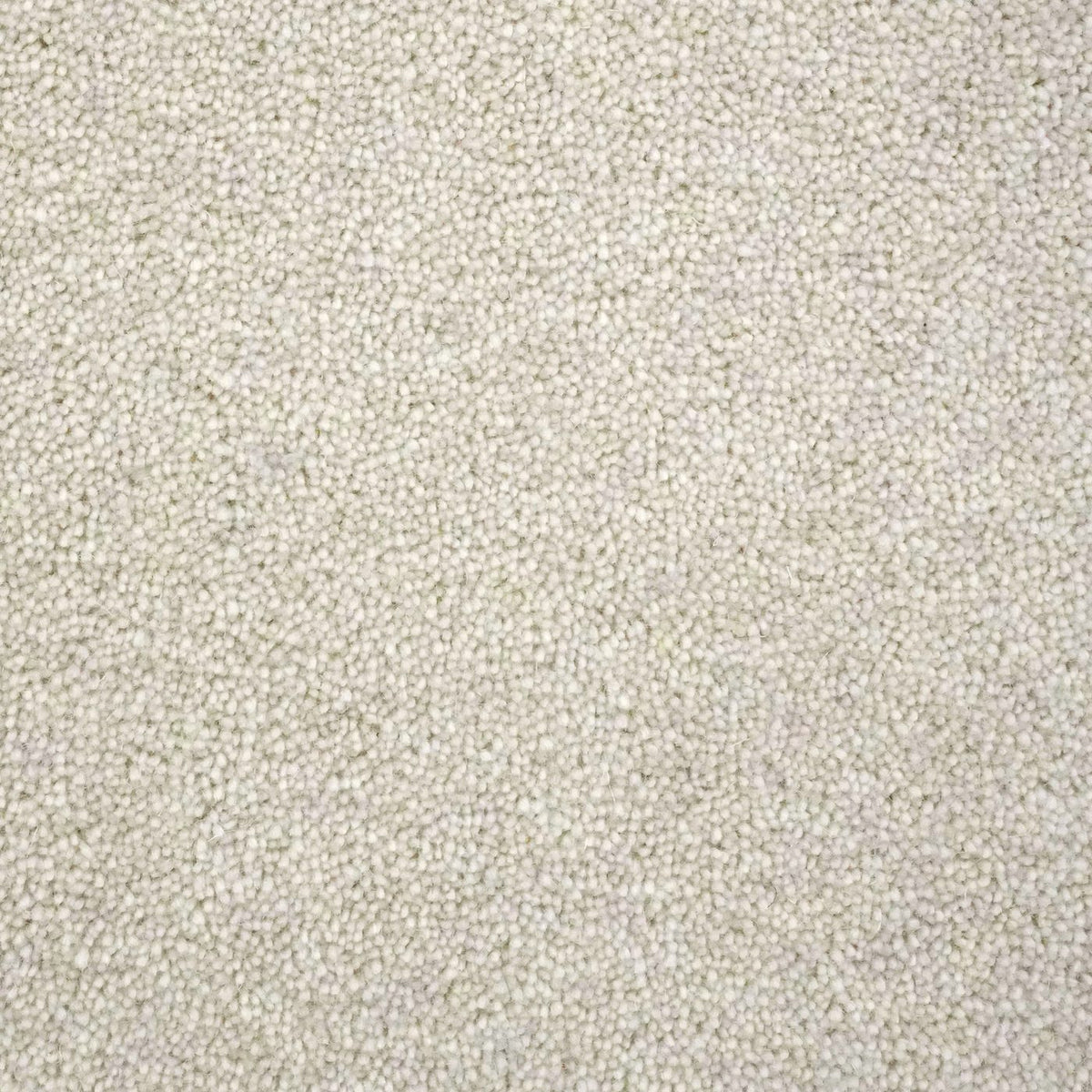 Windsor 60oz Cream Carpet