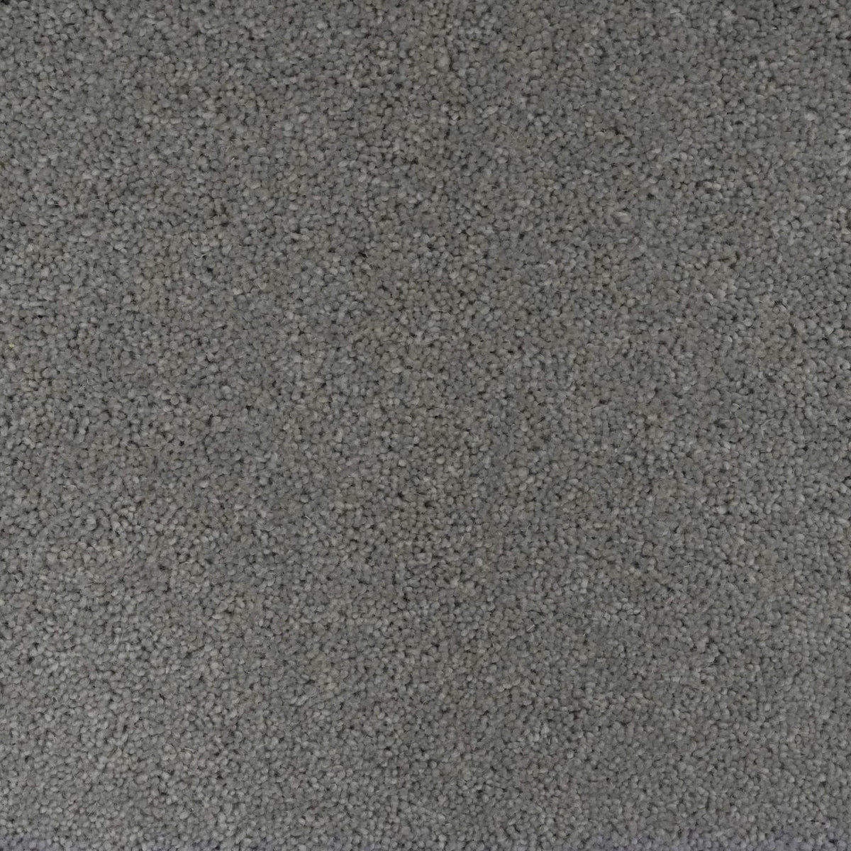Windsor 60oz Dark Grey Carpet
