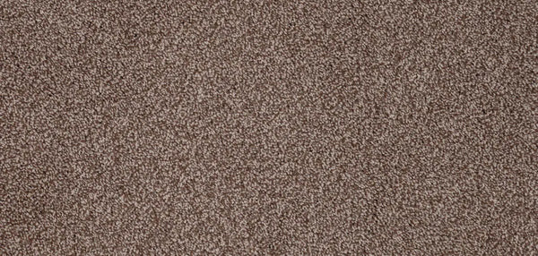 Flooring Wholesale Luxury Xtra Latte Carpet Wide Swatch