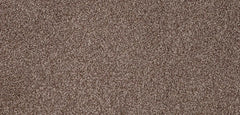 Flooring Wholesale Luxury Xtra Latte Carpet Wide Swatch