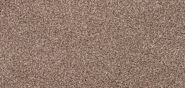 Flooring Wholesale Luxury Xtra Cotswold Carpet Wide Swatch