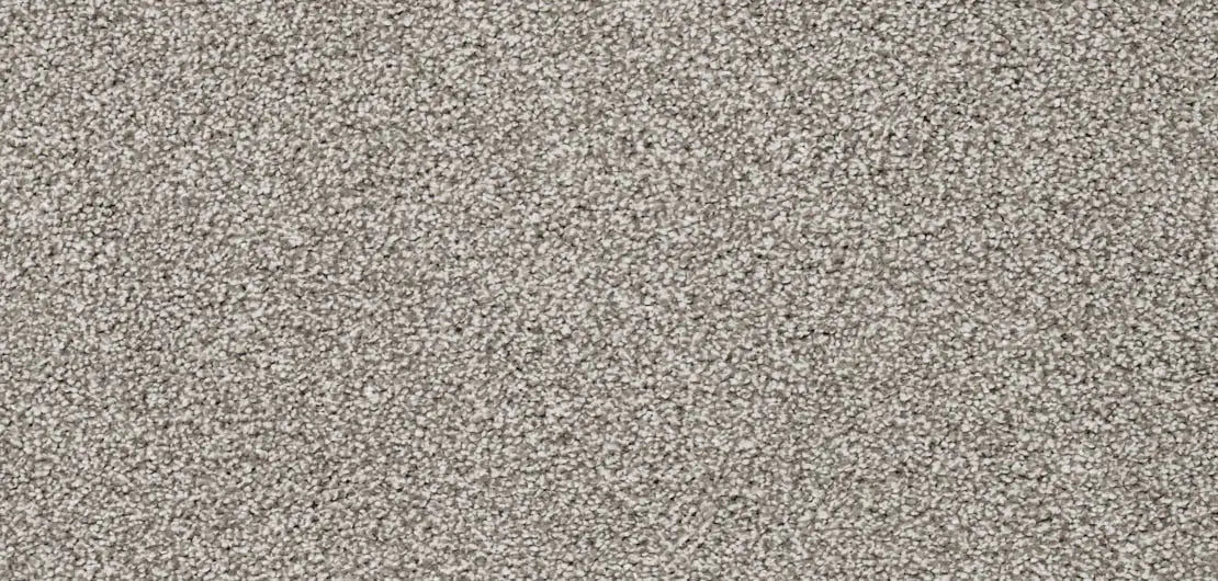 Flooring Wholesale Luxury Xtra Taupe Carpet wide Swatch