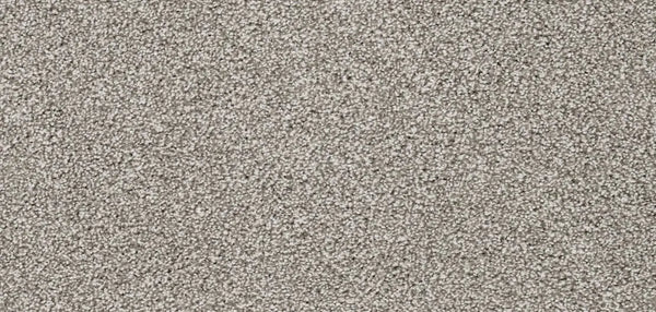 Flooring Wholesale Luxury Xtra Taupe Carpet wide Swatch