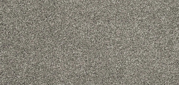 Flooring Wholesale Luxury Xtra Moonlight Carpet Swatch