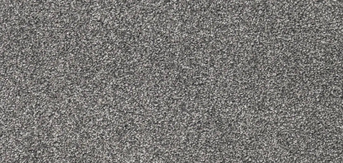Flooring Wholesale Luxury Xtra Universe Carpet wide swatch